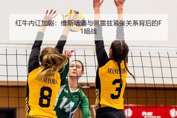 hong-niu-nei-hong-jia-ju-wei-si-ta-pan-yu-pei-lei-zi-jin-zhang-guan-xi-bei-hou-de-an-zhan-2-639.jpg