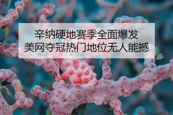 辛纳硬地赛季全面爆发 美网夺冠热门地位无人能撼
