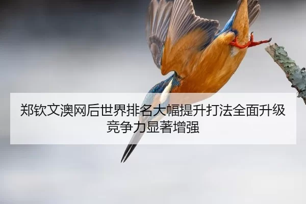 zheng-qin-wen-ao-wang-hou-shi-jie-pai-ming-da-fu-ti-sheng-da-fa-quan-mian-sheng-ji-jing-zheng-li-xian-zhu-zeng-qiang-2-355.jpg